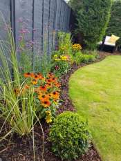 Juniper Close Surrey back garden design