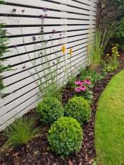 Juniper Close Surrey back garden design