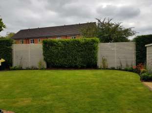 Juniper Close Surrey back garden design