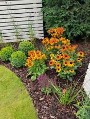 Juniper Close Surrey back garden design