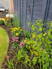 Juniper Close Surrey back garden design