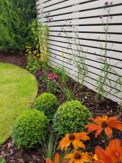 Juniper Close Surrey back garden design