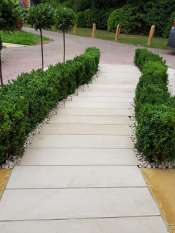 Juniper Close Surrey front garden design