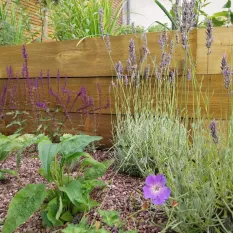 Patio and planting garden design Sheffield