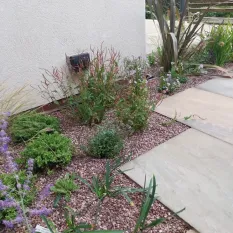 Patio and planting garden design Sheffield