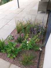Patio and planting garden design Sheffield