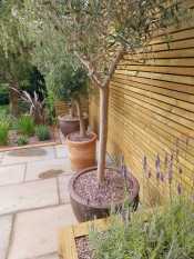 Patio and planting garden design Sheffield