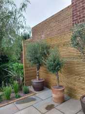 Patio and planting garden design Sheffield