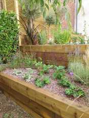 Patio and planting garden design Sheffield