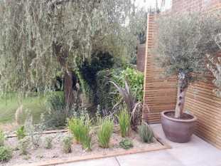 Patio and planting garden design Sheffield