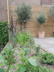 Patio and planting garden design Sheffield