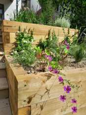 Patio and planting garden design Sheffield