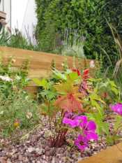 Patio and planting garden design Sheffield