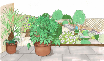Psalter Lane Sheffield Rear Garden Design