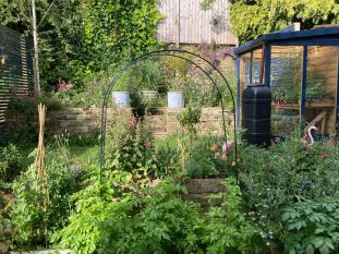 Wildlife-Garden-Design-Walkley-Sheffield-12