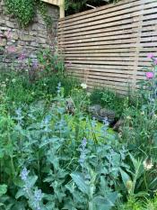 Wildlife-Garden-Design-Walkley-Sheffield-14