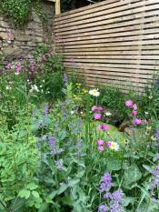 Wildlife-Garden-Design-Walkley-Sheffield-15