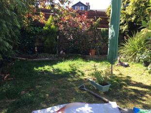 Wildlife-Garden-Design-Walkley-Sheffield-2