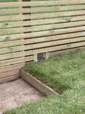 Wildlife-Garden-Design-Walkley-Sheffield-6