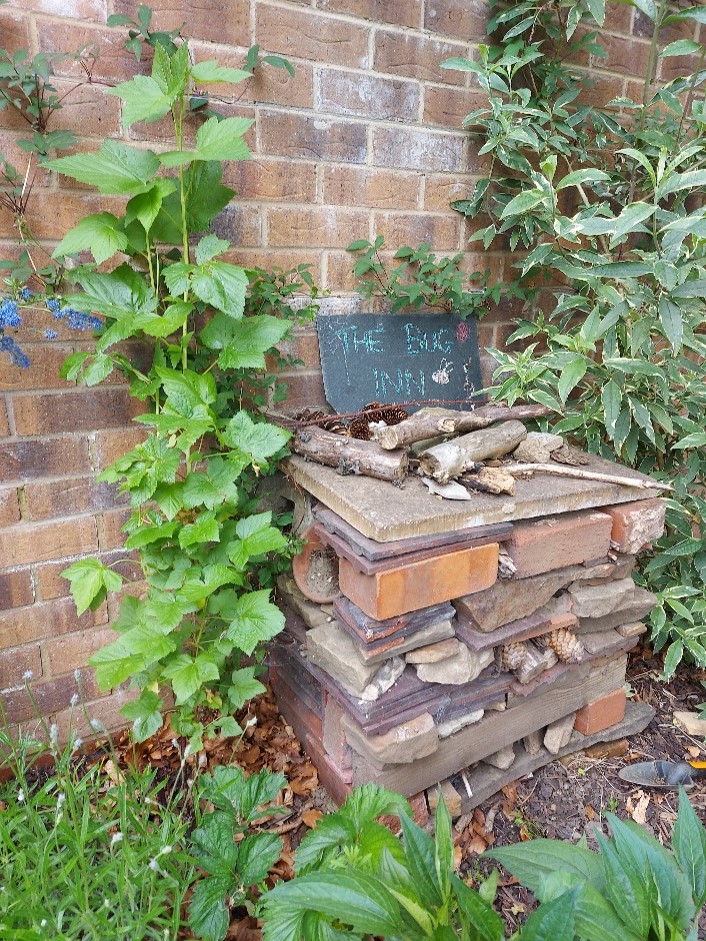 Ways to bring wildlife into your garden"