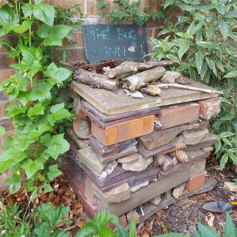 Ways To Bring Wildlife Into Your Garden