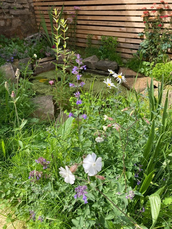 garden design ponds garden design ponds"