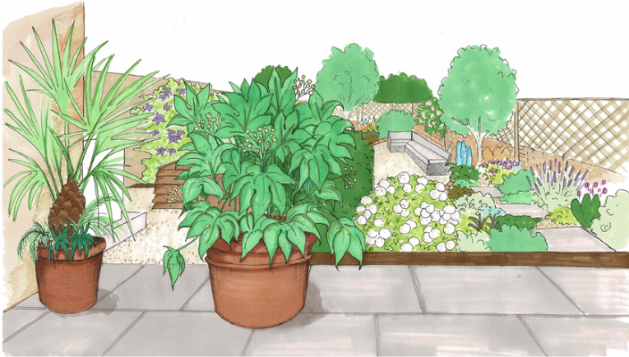 Psalter lane, Sheffield - Rear Garden Design Psalter lane, Sheffield - Rear Garden Design